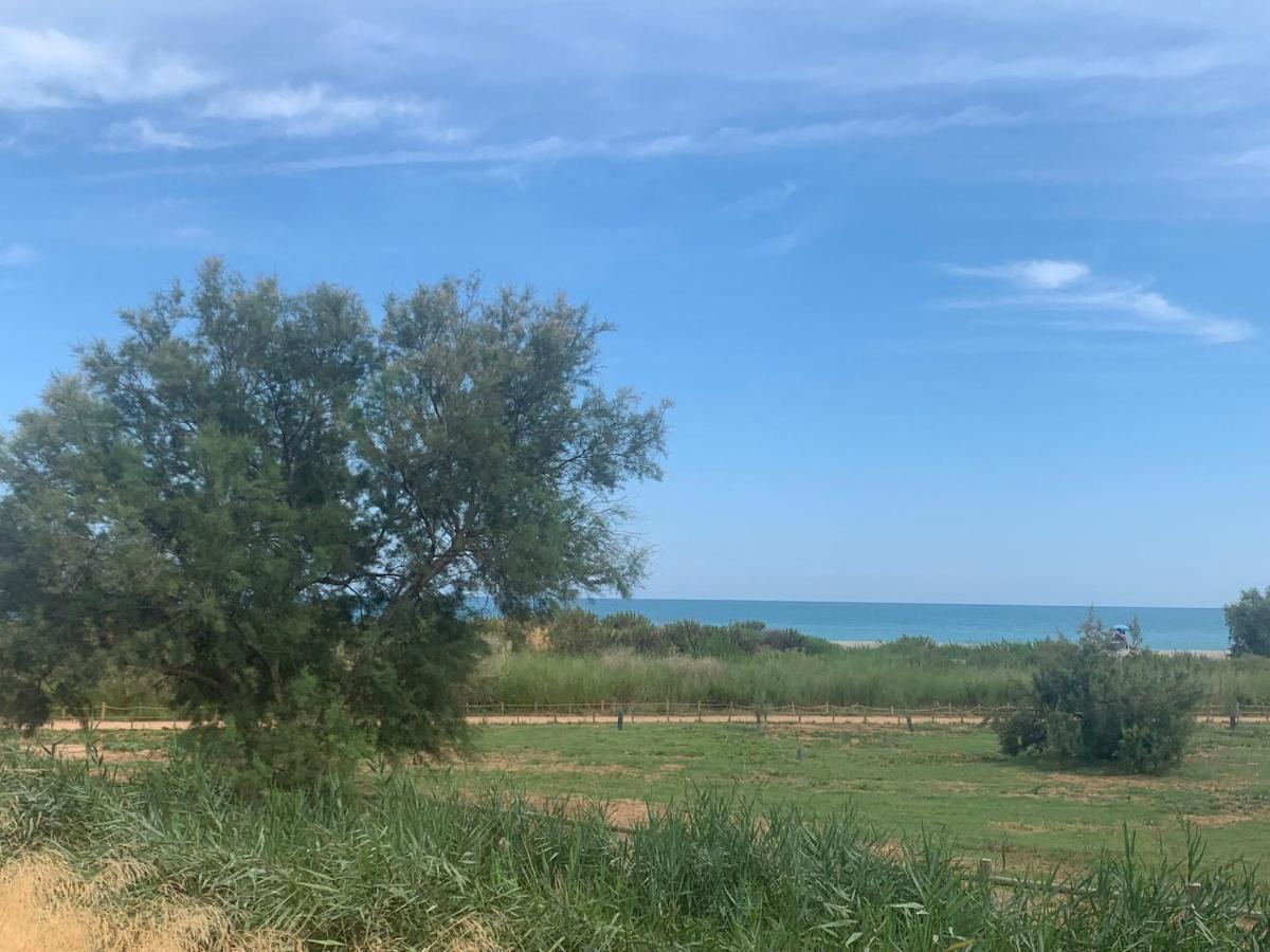 Beachfront With A Private Garden On The Ground Floor Apartament